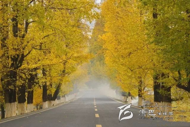 康定新都橋，有一條黃金大道通往夢(mèng)中的天堂