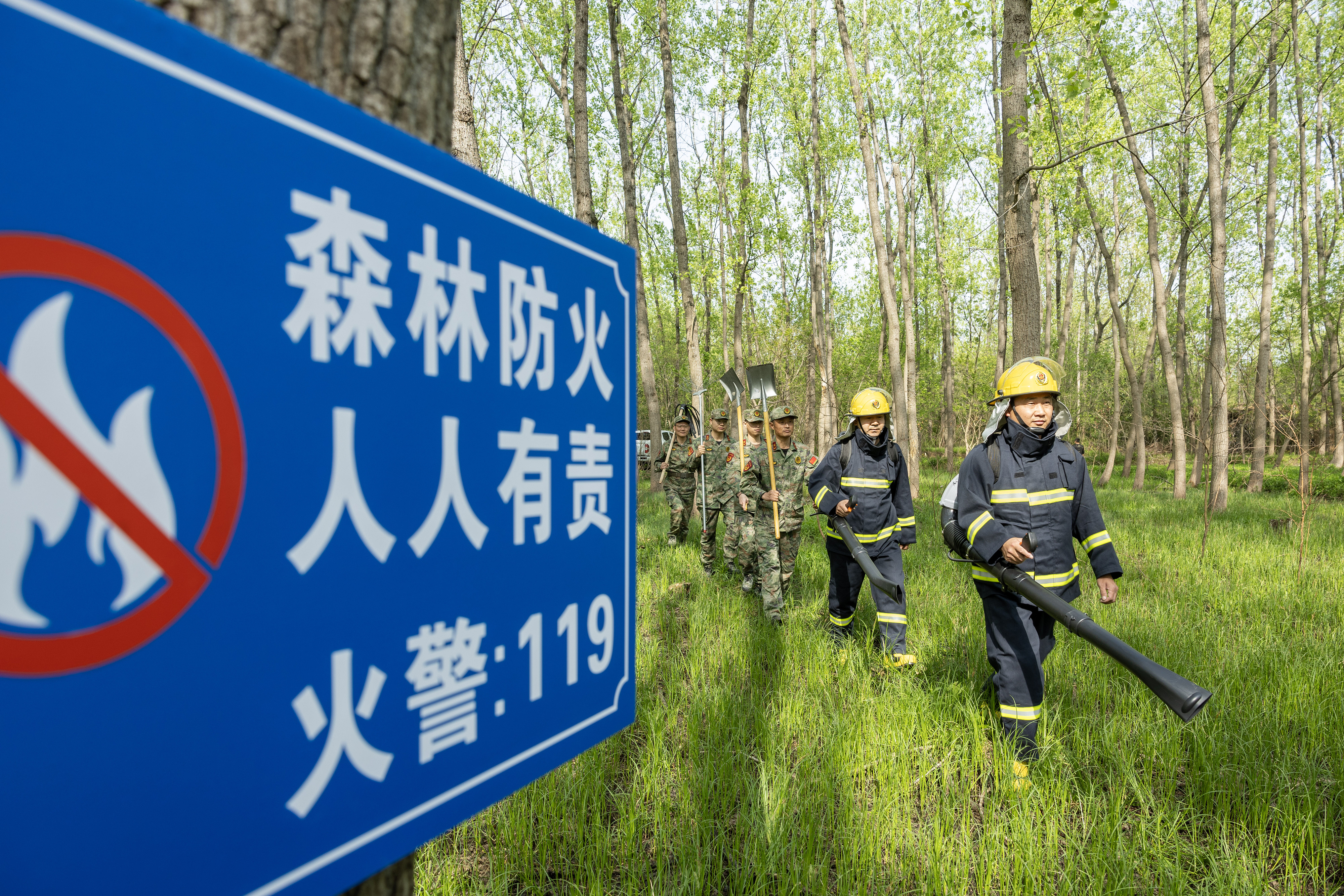 2024年4月9日，合肥市大房郢水庫水源保護地廬陽(yáng)經(jīng)濟開(kāi)發(fā)區段，基干民兵正在林間巡查火災隱患。