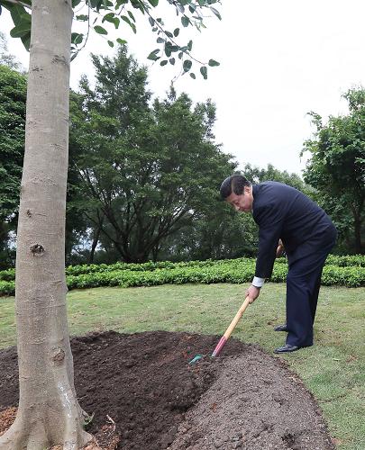 2012年12月7日至11日，習近平在廣東省考察工作。這是8日上午，習近平在深圳蓮花山公園種下一棵高山榕樹(shù)。新華社記者 蘭紅光 攝