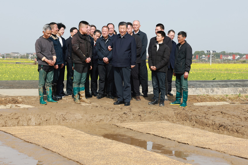 2024年3月18日至21日，中共中央總書(shū)記、國家主席、中央軍委主席習近平在湖南考察。這是19日下午，習近平在常德市鼎城區謝家鋪鎮港中坪村走進(jìn)田間，察看秧苗培育和春耕備耕進(jìn)展。新華社記者 王曄 攝